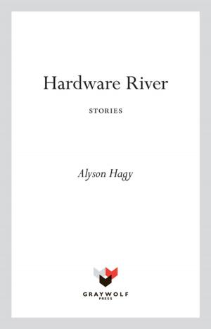 Cover of the book Hardware River by Bernardo Atxaga