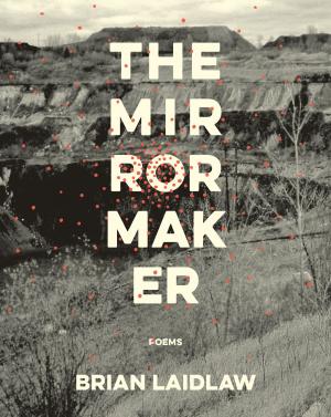 Cover of the book The Mirrormaker by Melissa Kwasny