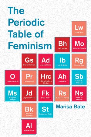 Cover of the book The Periodic Table of Feminism by Srinath Raghavan