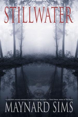 Cover of the book Stillwater by William Schoell