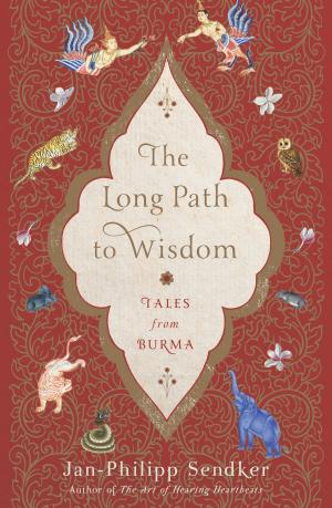 Cover of the book The Long Path to Wisdom by Jan-Philipp Sendker