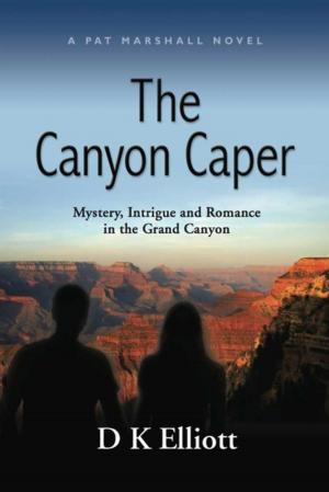 Cover of the book The Canyon Caper by Jake Doherty