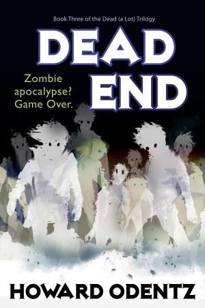 Cover of the book Dead End by Virginia Brown