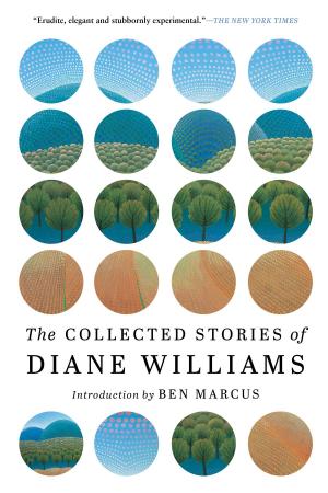 bigCover of the book The Collected Stories of Diane Williams by 