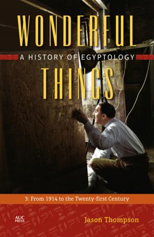 Cover of the book Wonderful Things by Mohamed El-Bisatie