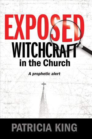 Book cover of Exposed – Witchcraft in the Church