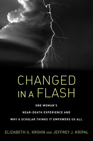 Cover of the book Changed in a Flash by Nathan Schwartz-Salant