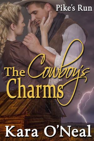 Cover of the book The Cowboy’s Charms by Megan Slayer