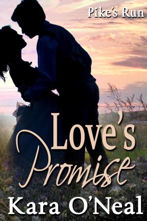 Cover of the book Love’s Promise by Megan Slayer