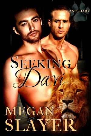 Cover of the book Seeking Davi by Megan Slayer