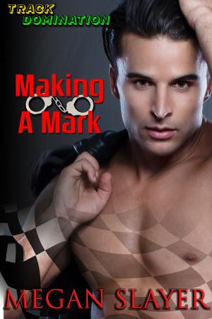 Cover of the book Making a Mark by Lez Lee
