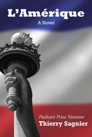 Cover of the book L'Amerique by Tanya J. Peterson