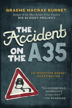 bigCover of the book The Accident on the A35 by 