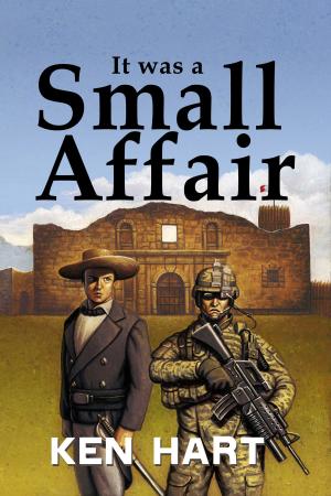 Cover of the book It was a Small Affair by Barb Jones