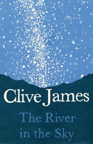 Book cover of The River in the Sky: A Poem
