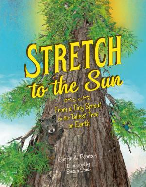 Cover of the book Stretch to the Sun by Megan Dowd Lambert