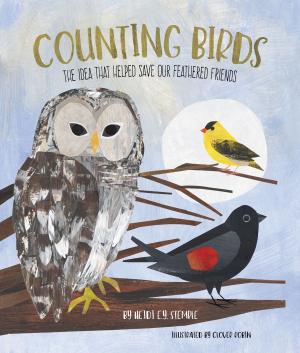 Book cover of Counting Birds