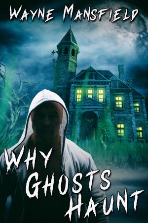 Cover of the book Why Ghosts Haunt by Vincent Diamond