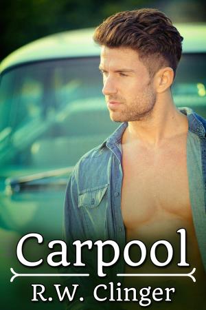 Cover of the book Carpool by J.M. Snyder