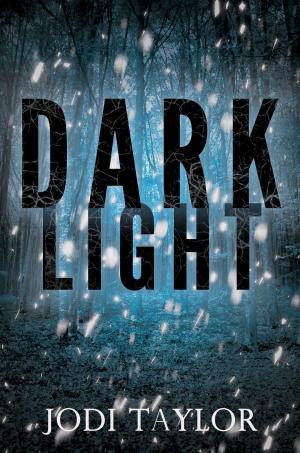 Cover of the book Dark Light by Laura Wilkinson