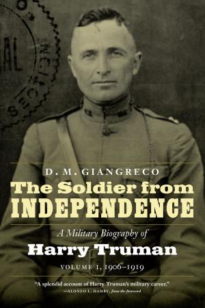 Cover of the book The Soldier from Independence by Cate Folsom