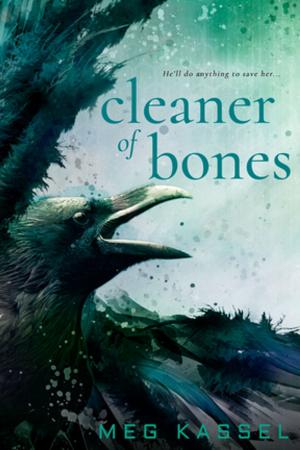 Cover of the book Cleaner of Bones by Lauren Hawkeye