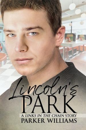 Cover of the book Lincoln's Park by Karen Stivali