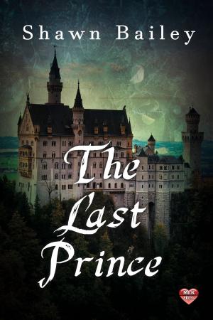 Cover of the book The Last Prince by M.W. Arnold