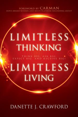 Cover of the book Limitless Thinking, Limitless Living by Donald Miller