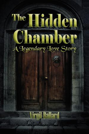 bigCover of the book The Hidden Chamber by 