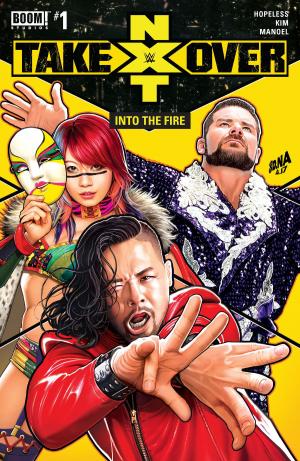 Cover of the book WWE: NXT TAKEOVER - Into the Fire #1 by Steve Jackson, Katie Cook