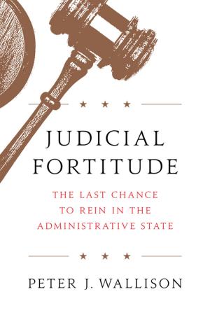 Cover of the book Judicial Fortitude by Peter Ferrara