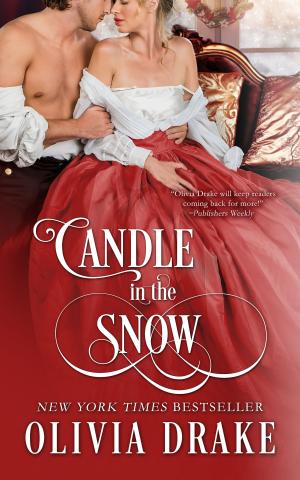 Cover of the book Candle in the Snow by J.J. McAvoy