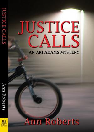 bigCover of the book Justice Calls by 