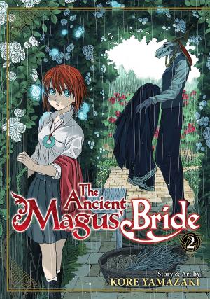 Book cover of The Ancient Magus' Bride Vol. 2