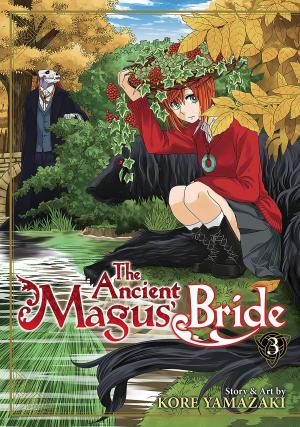 Cover of the book The Ancient Magus' Bride Vol. 3 by Saki Hasemi