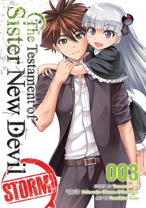 Cover of the book The Testament of Sister New Devil STORM! Vol. 3 by Eiji Masuda