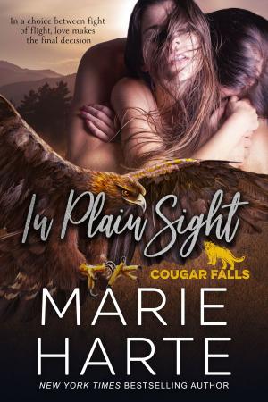 Cover of the book In Plain Sight by Lacey Carter Andersen, Averi Hope