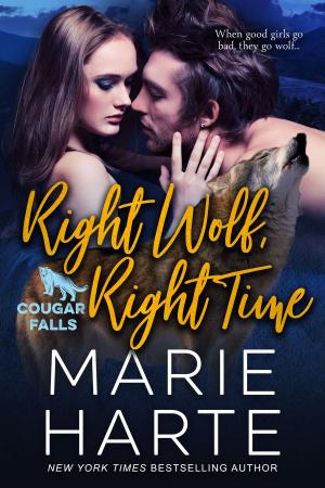 Cover of the book Right Wolf, Right Time by Monica La Porta