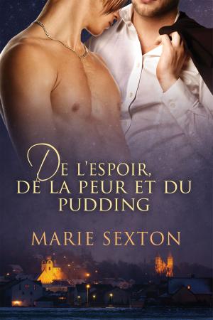 Cover of the book De l'espoir, de la peur et du pudding by TJ Klune