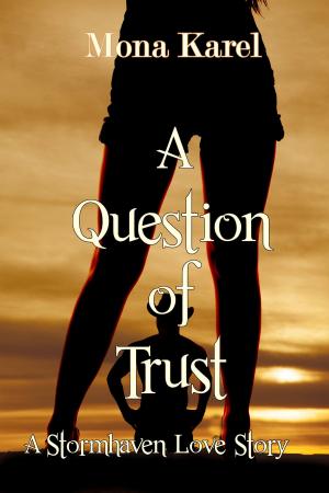 Cover of the book A Question of Trust by Megan Cyrulewski