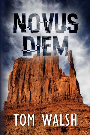 Cover of the book Novus Diem by A.J.Flamel
