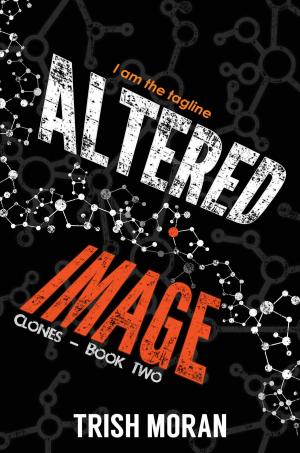 Cover of the book Altered Image by Gilli Allan