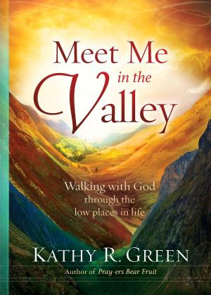 Cover of the book Meet Me in the Valley: Walking With God Through the Low Places in Life by Steve Morris