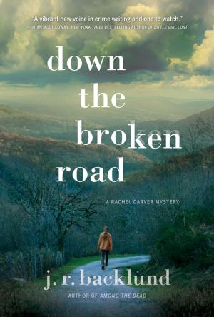 Cover of the book Down the Broken Road by Alex Ryan