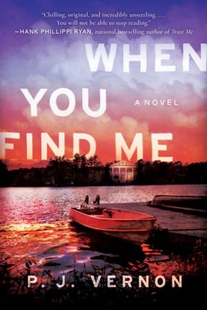 Cover of the book When You Find Me by Nancy J. Parra
