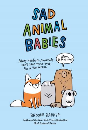 Cover of the book Sad Animal Babies by Anya von Bremzen, Megan Fawn Schlow