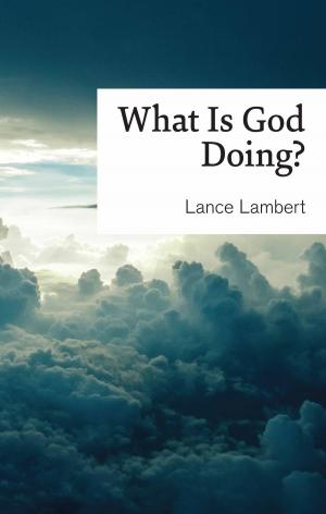 Cover of the book What is God Doing? by Michael Stickelbroeck
