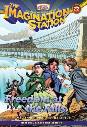 Cover of the book Freedom at the Falls by Kathi Lipp, Carol Boley