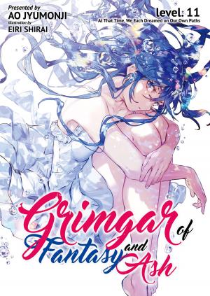 Cover of the book Grimgar of Fantasy and Ash: Volume 11 by Kanata Yanagino